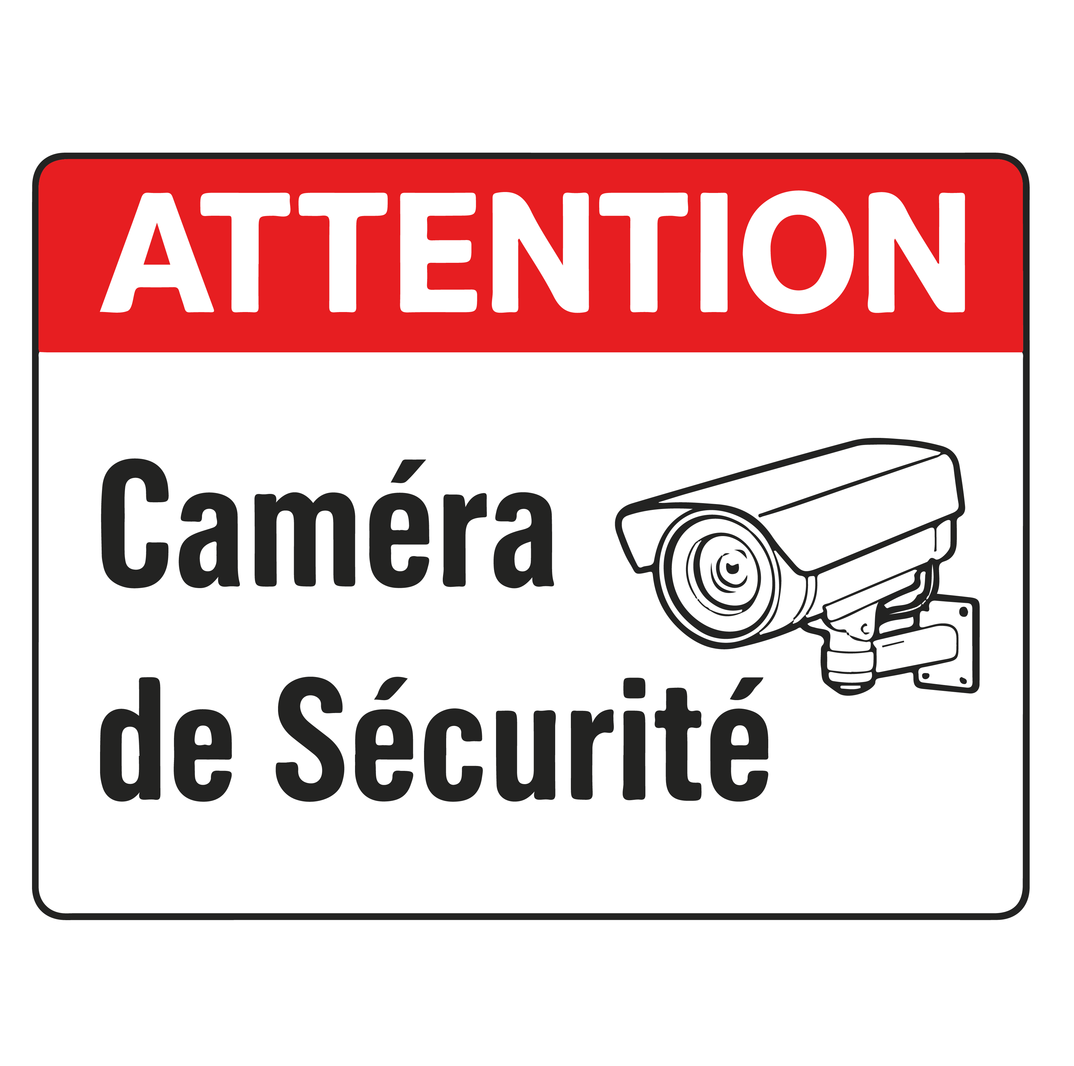 Caméra de sécurité