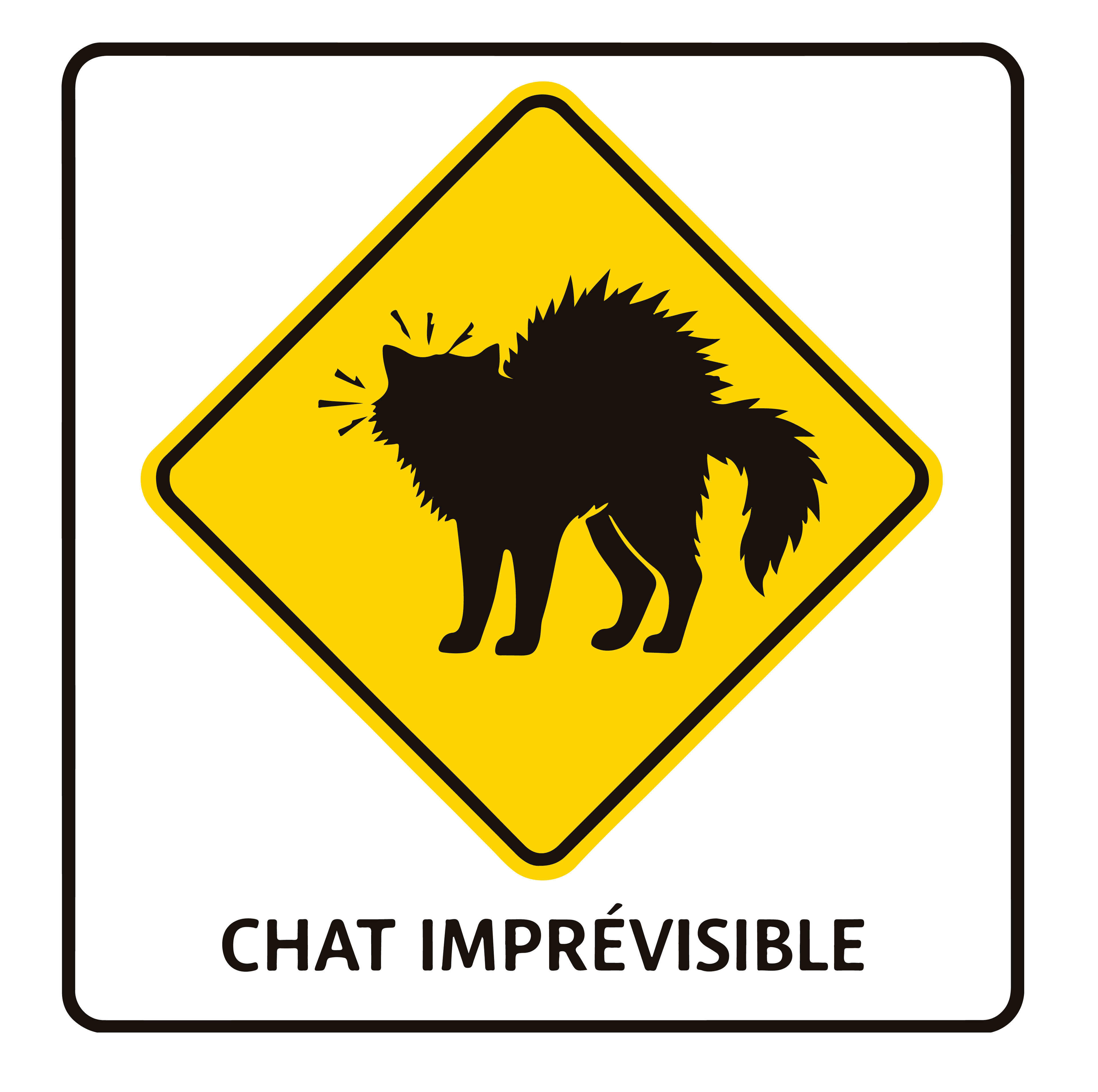 Chat imprévisible